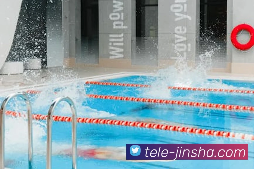 App Interface Preview